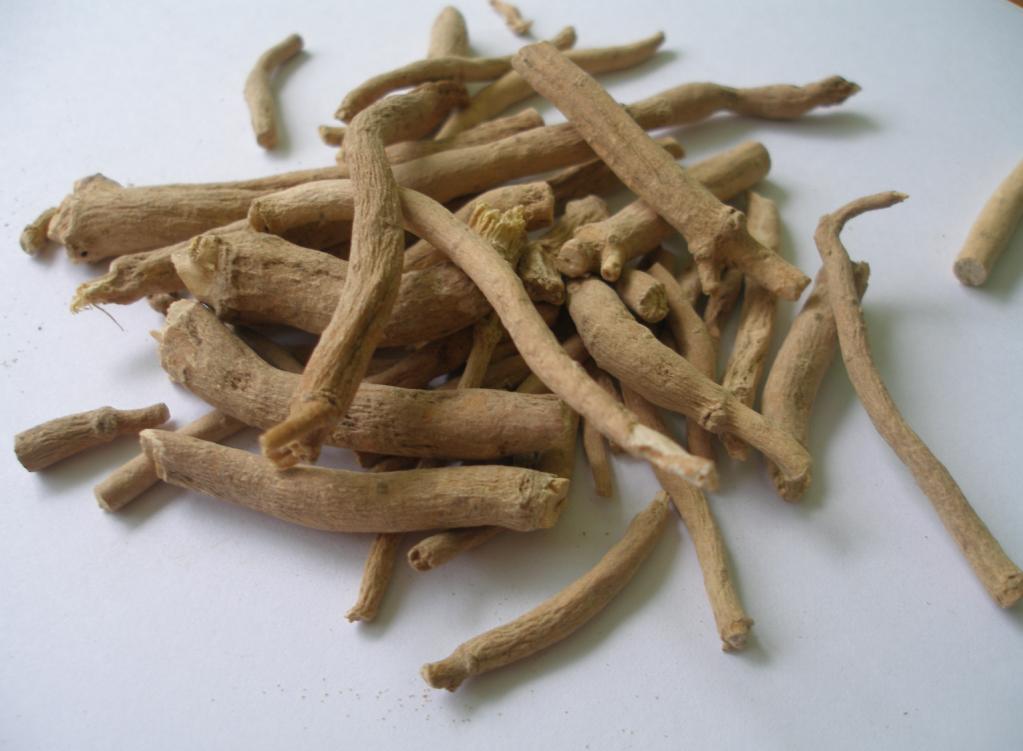 Silene Capensis Root (African Dream Root) Sticks